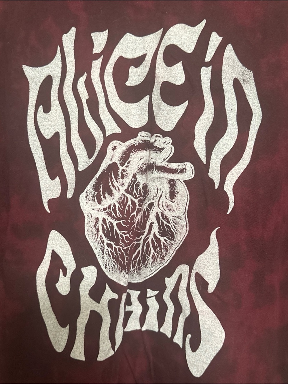 ALICE IN CHAINS Concert Tour (XL) Shirt JERRY CANTRELL Mexs CL